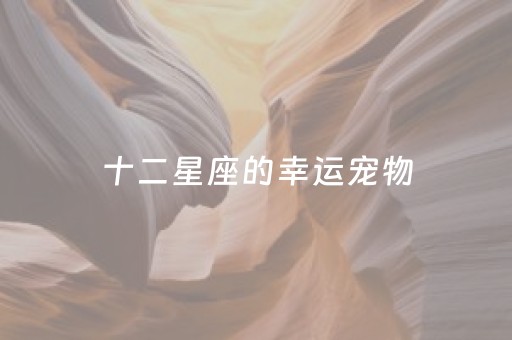 十二星座的幸运宠物（十二星座的幸运宠物是什么）