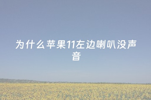 为什么苹果11左边喇叭没声音（为什么苹果11左边喇叭不响）