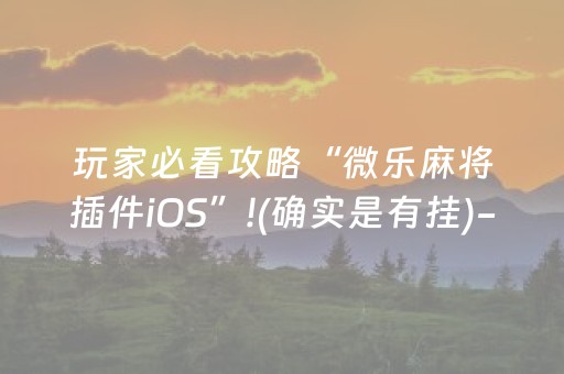 玩家必看攻略“微乐麻将插件iOS”!(确实是有挂)-抖音