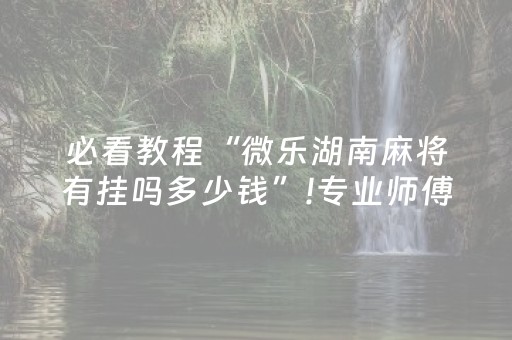 必看教程“微乐湖南麻将有挂吗多少钱”!专业师傅带你一起了解（详细教程）-抖音