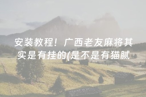 安装教程！广西老友麻将其实是有挂的(是不是有猫腻)