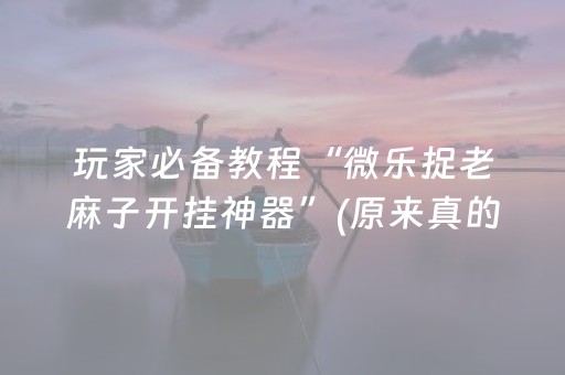 玩家必备教程“微乐捉老麻子开挂神器”(原来真的有挂)-抖音