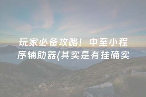 玩家必备攻略！中至小程序辅助器(其实是有挂确实有挂)