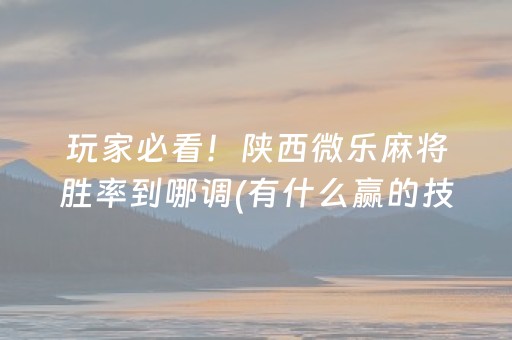 玩家必看！陕西微乐麻将胜率到哪调(有什么赢的技巧)