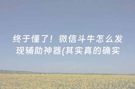 终于懂了！微信斗牛怎么发现辅助神器(其实真的确实有挂)