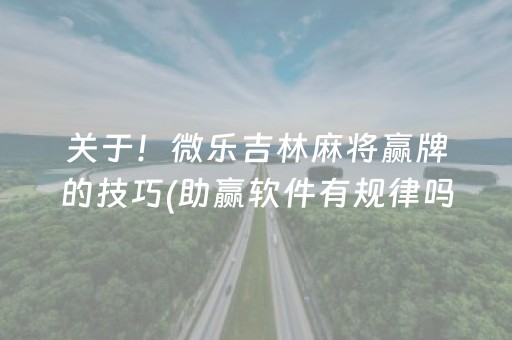 关于！微乐吉林麻将赢牌的技巧(助赢软件有规律吗)