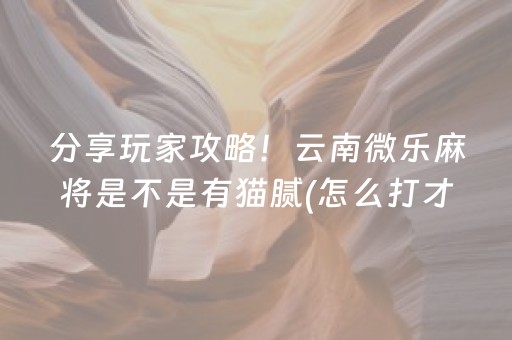 分享玩家攻略！云南微乐麻将是不是有猫腻(怎么打才能赢)