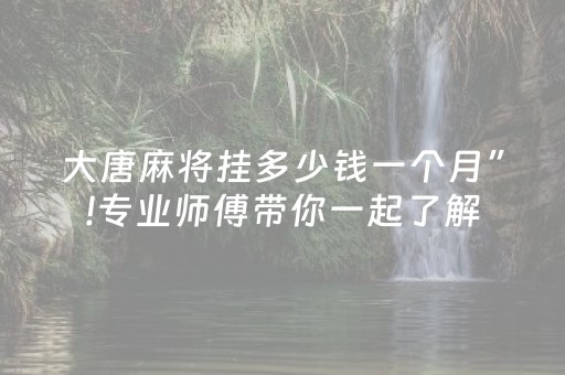 大唐麻将挂多少钱一个月”!专业师傅带你一起了解（详细教程）-抖音