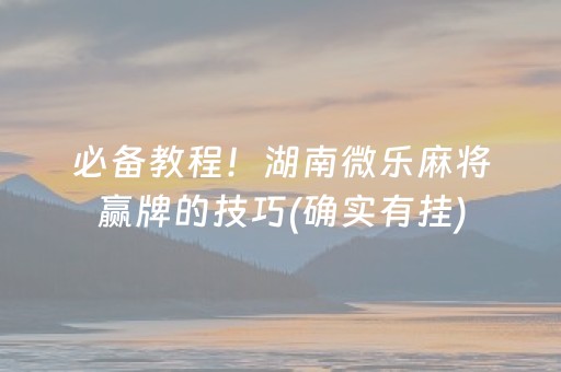 必备教程！湖南微乐麻将赢牌的技巧(确实有挂)