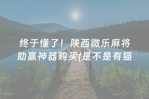 终于懂了！陕西微乐麻将助赢神器购买(是不是有猫腻)