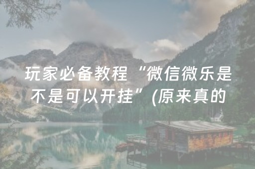 玩家必备教程“微信微乐是不是可以开挂”(原来真的有挂)-抖音