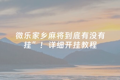 微乐家乡麻将到底有没有挂”！详细开挂教程（确实真的有挂)-抖音