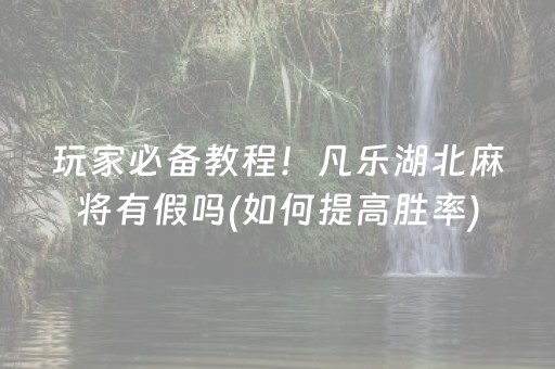 玩家必备教程！凡乐湖北麻将有假吗(如何提高胜率)