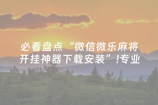 必看盘点“微信微乐麻将开挂神器下载安装”!专业师傅带你一起了解（详细教程）-抖音