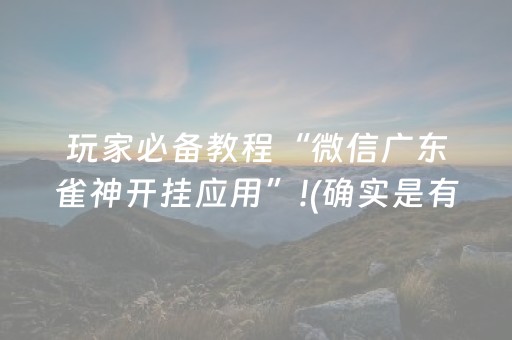 玩家必备教程“微信广东雀神开挂应用”!(确实是有挂)-抖音