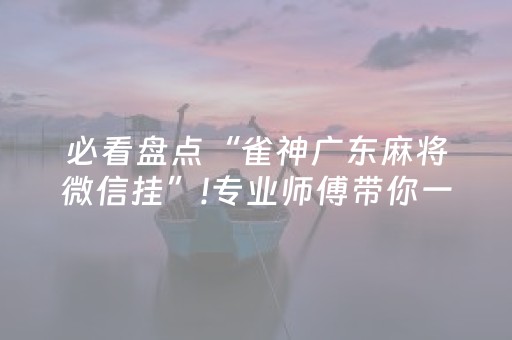 必看盘点“雀神广东麻将微信挂”!专业师傅带你一起了解（详细教程）-抖音