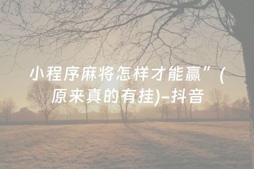 小程序麻将怎样才能赢”(原来真的有挂)-抖音