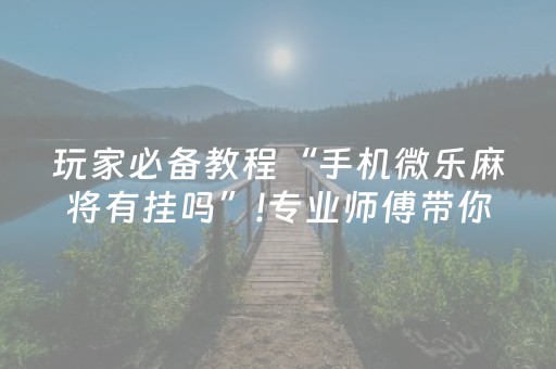 玩家必备教程“手机微乐麻将有挂吗”!专业师傅带你一起了解（详细教程）-抖音