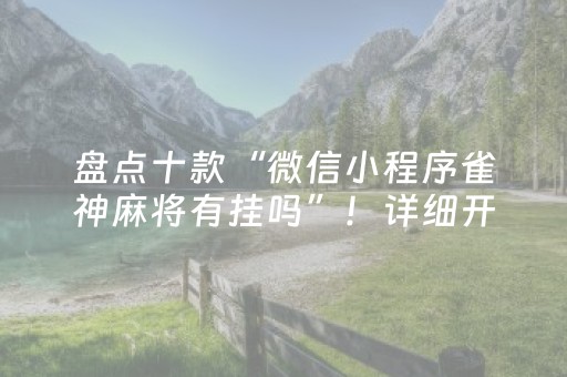 盘点十款“微信小程序雀神麻将有挂吗”！详细开挂教程（确实真的有挂)-抖音