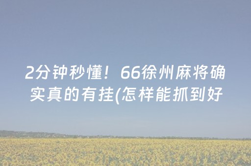 2分钟秒懂！66徐州麻将确实真的有挂(怎样能抓到好牌)