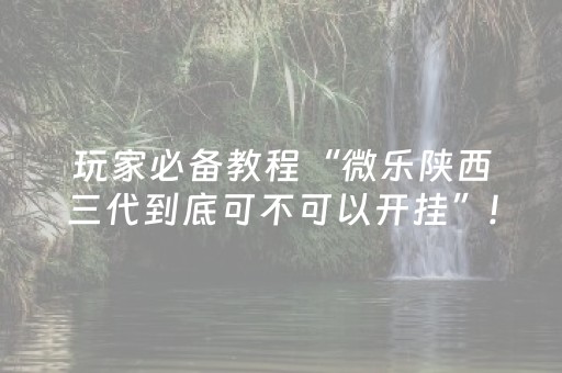 玩家必备教程“微乐陕西三代到底可不可以开挂”!专业师傅带你一起了解（详细教程）-抖音