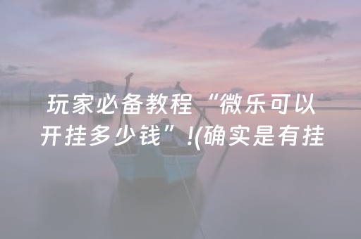 玩家必备教程“微乐可以开挂多少钱”!(确实是有挂)-抖音