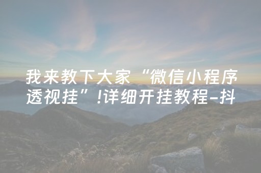 我来教下大家“微信小程序透视挂”!详细开挂教程-抖音