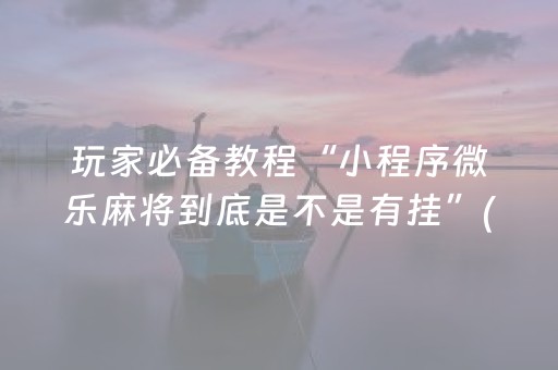 玩家必备教程“小程序微乐麻将到底是不是有挂”(原来真的有挂)-抖音