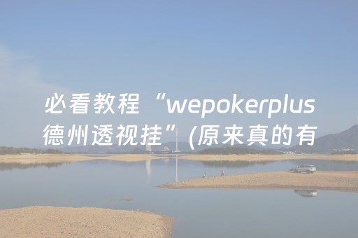 必看教程“wepokerplus德州透视挂”(原来真的有挂)-抖音