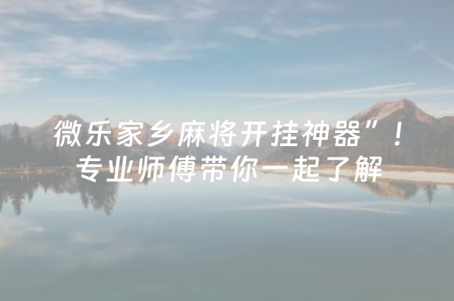 微乐家乡麻将开挂神器”!专业师傅带你一起了解（详细教程）-抖音