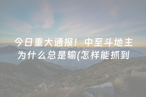 今日重大通报！中至斗地主为什么总是输(怎样能抓到好牌)