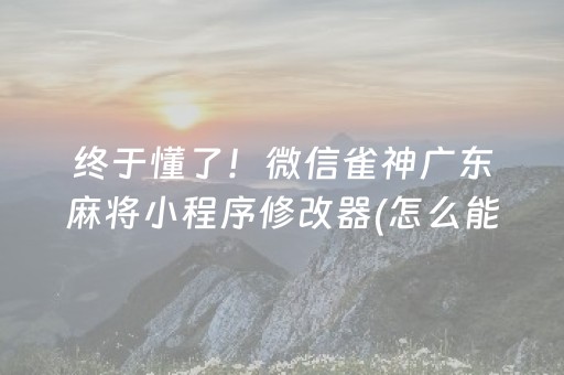 终于懂了！微信雀神广东麻将小程序修改器(怎么能拿好牌)