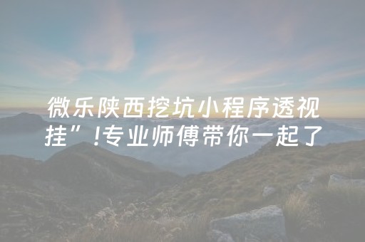 微乐陕西挖坑小程序透视挂”!专业师傅带你一起了解（详细教程）-抖音