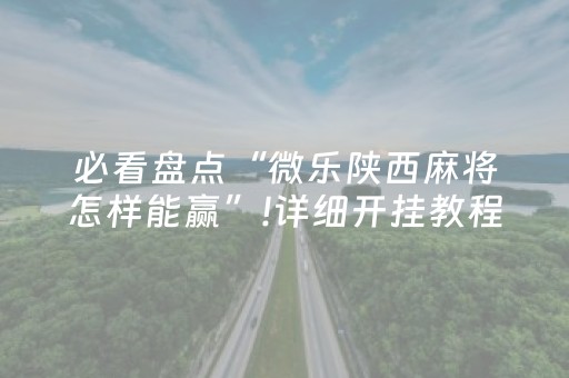 必看盘点“微乐陕西麻将怎样能赢”!详细开挂教程-抖音