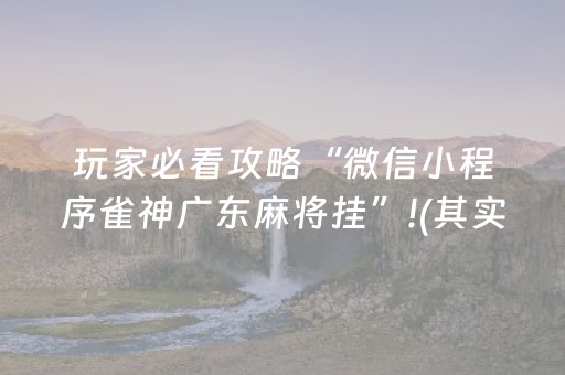 玩家必看攻略“微信小程序雀神广东麻将挂”!(其实确实有挂)-抖音