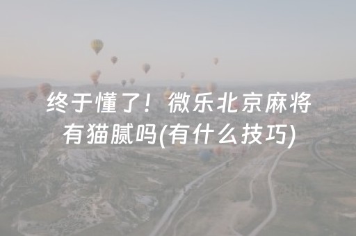 终于懂了！微乐北京麻将有猫腻吗(有什么技巧)