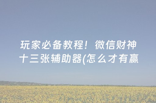 玩家必备教程！微信财神十三张辅助器(怎么才有赢的几率)