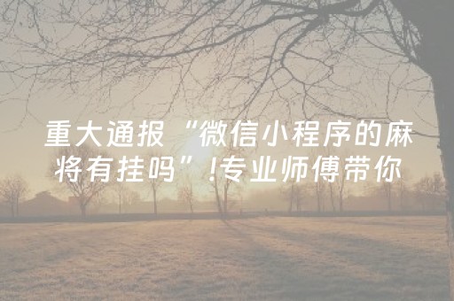 重大通报“微信小程序的麻将有挂吗”!专业师傅带你一起了解（详细教程）-抖音