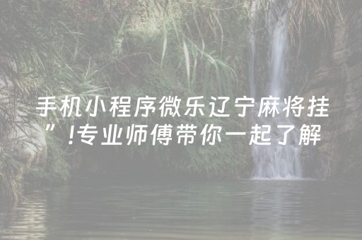 手机小程序微乐辽宁麻将挂”!专业师傅带你一起了解（详细教程）-抖音