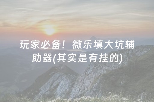 玩家必备！微乐填大坑辅助器(其实是有挂的)