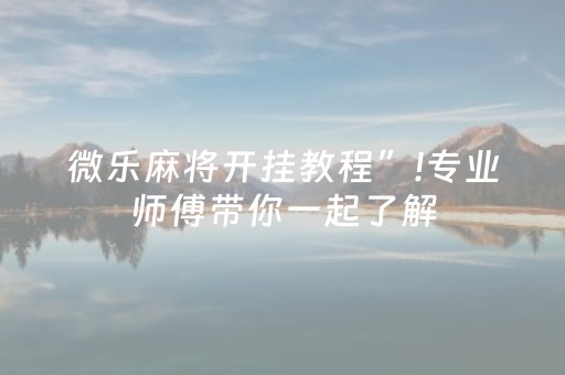 微乐麻将开挂教程”!专业师傅带你一起了解（详细教程）-抖音