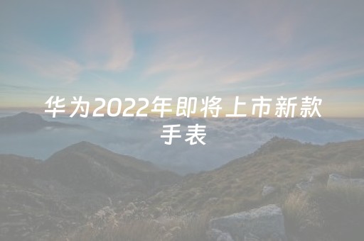 华为2022年即将上市新款手表（华为2022年即将上市新款手表可拆）