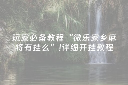 玩家必备教程“微乐家乡麻将有挂么”!详细开挂教程-抖音