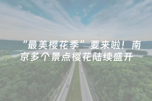 “最美樱花季”要来啦！南京多个景点樱花陆续盛开