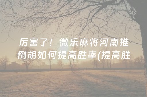 厉害了！微乐麻将河南推倒胡如何提高胜率(提高胜率的方法)