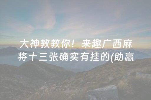 大神教教你！来趣广西麻将十三张确实有挂的(助赢神器)