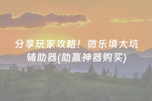 分享玩家攻略！微乐填大坑辅助器(助赢神器购买)