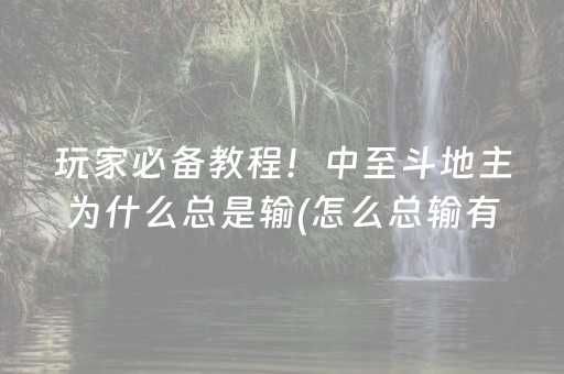 玩家必备教程！中至斗地主为什么总是输(怎么总输有什么猫腻)