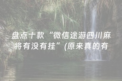 盘点十款“微信途游四川麻将有没有挂”(原来真的有挂)-抖音