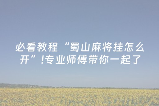 必看教程“蜀山麻将挂怎么开”!专业师傅带你一起了解（详细教程）-抖音